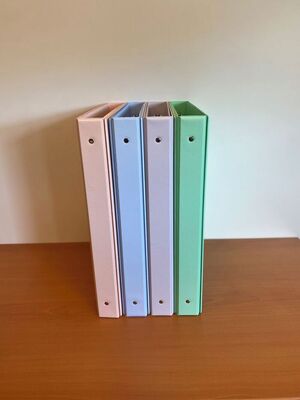 ARCHIVADOR DE PLÁSTICO TAMAÑO FOLIO 4 ANILLAS COLORES VIVOS/PASTEL